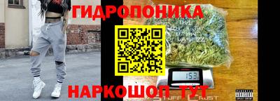 apvp Аргун