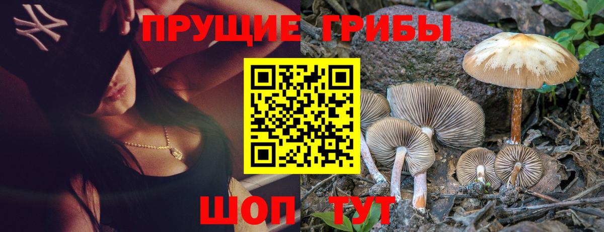 Выборг  Галлюциногенные грибы мухоморы  Вход с VPN 