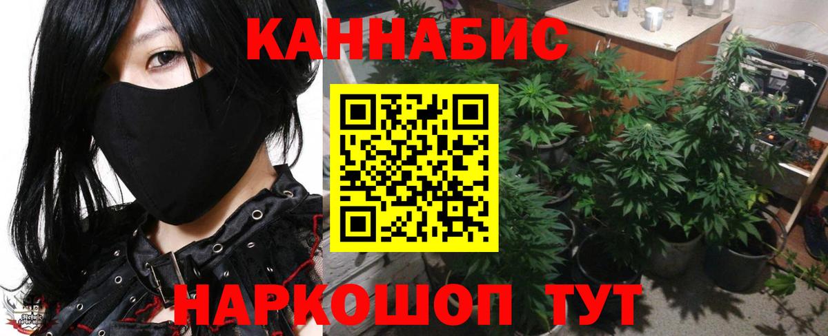 Выборг  Бошки марихуана тримм  Конопля AK-47  Бошки Шишки SATIVA & INDICA  Вход с VPN 